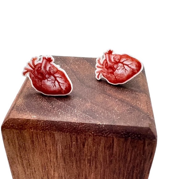 Human heart , detailed earrings. New. Anatomically correct. - Picture 3 of 10